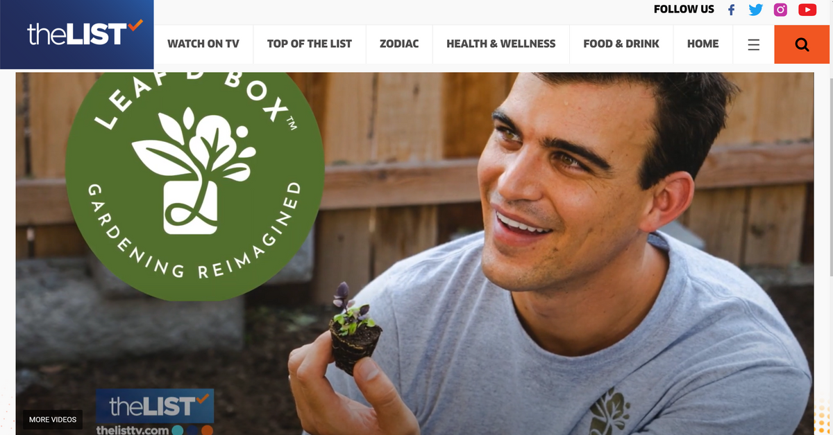 Leaf'd Box Gives Tips on Keeping Indoor Plants Healthy!