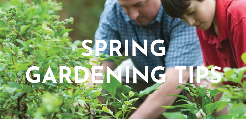 Get Ready to Grow Your Best Spring Vegetable Garden Ever - Gardening Tips for Maximum Success!