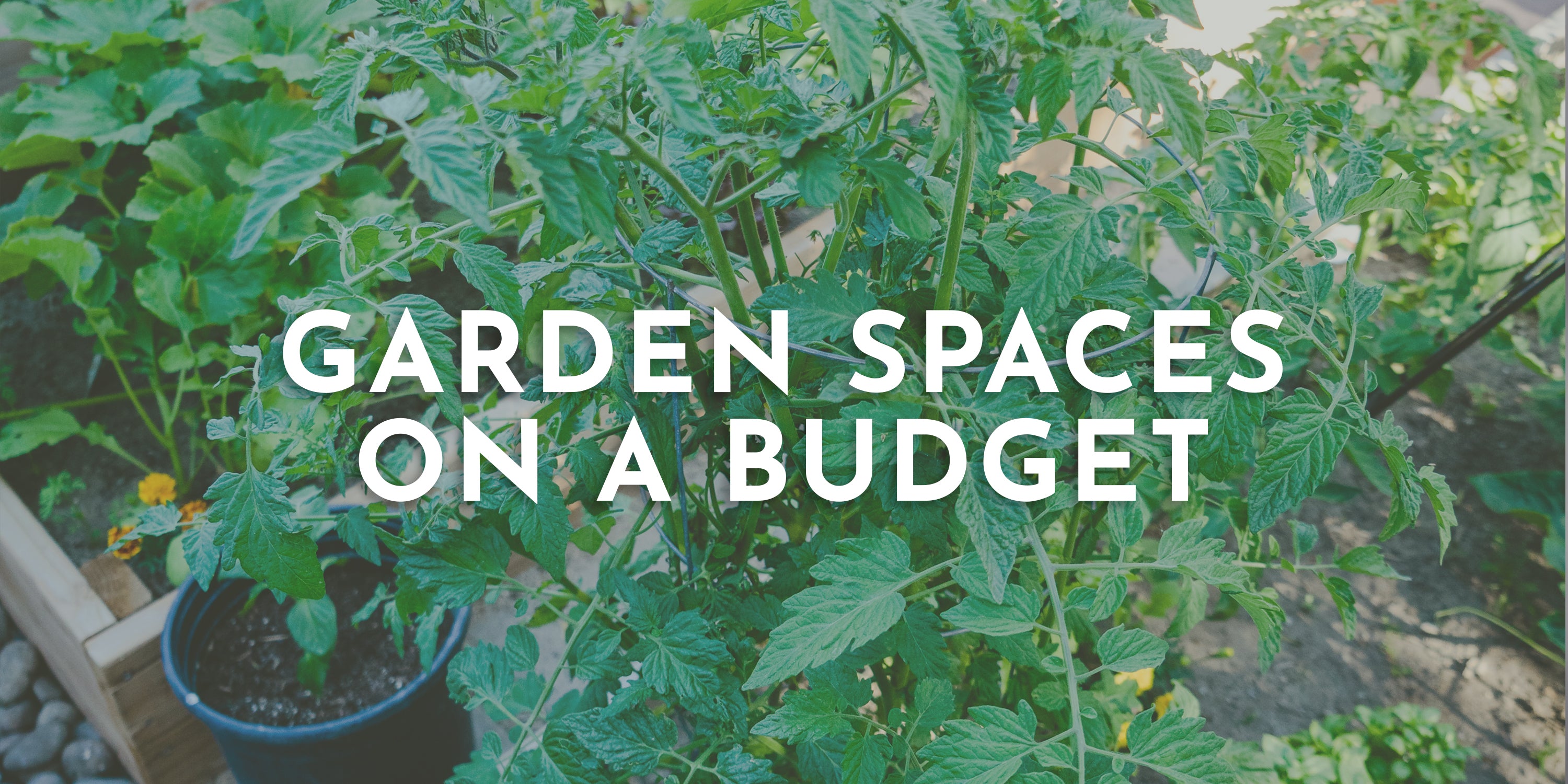 Garden Spaces On A Budget