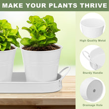 Load image into Gallery viewer, Hicarer 2 Sets Herb Planter with Tray Metal Herb Garden Planter with Drainage Farmhouse Windowsill Pots for Indoor Plants Flower Succulent Outdoor Kitchen Apartment Balcony Window (White)