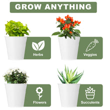 Load image into Gallery viewer, Hicarer 2 Sets Herb Planter with Tray Metal Herb Garden Planter with Drainage Farmhouse Windowsill Pots for Indoor Plants Flower Succulent Outdoor Kitchen Apartment Balcony Window (White)