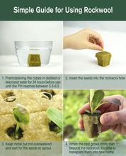 Load image into Gallery viewer, SKINNYBUNNY Rockwool Cubes 1 inch, Rock Wool Planting Cubes with Holes, Rockwool Cubes for Hydroponics, Perfect for Soilless Culture and Transplanting, 4 Sheets of 200 Cubes