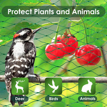 Load image into Gallery viewer, Ruolan Bird Netting for Garden Protect Vegetable Plants and Fruit Trees13X20Ft,Plastic Trellis Netting for Birds, Deer,Squirrels and Other Animals