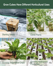 Load image into Gallery viewer, SKINNYBUNNY Rockwool Cubes 1 inch, Rock Wool Planting Cubes with Holes, Rockwool Cubes for Hydroponics, Perfect for Soilless Culture and Transplanting, 4 Sheets of 200 Cubes