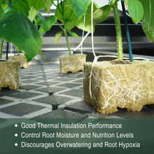 Load image into Gallery viewer, SKINNYBUNNY Rockwool Cubes 1 inch, Rock Wool Planting Cubes with Holes, Rockwool Cubes for Hydroponics, Perfect for Soilless Culture and Transplanting, 4 Sheets of 200 Cubes