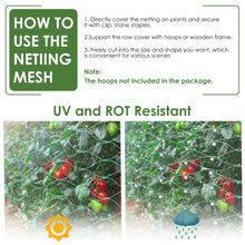 Load image into Gallery viewer, Ruolan Bird Netting for Garden Protect Vegetable Plants and Fruit Trees13X20Ft,Plastic Trellis Netting for Birds, Deer,Squirrels and Other Animals