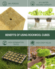 Load image into Gallery viewer, SKINNYBUNNY Rockwool Cubes 1 inch, Rock Wool Planting Cubes with Holes, Rockwool Cubes for Hydroponics, Perfect for Soilless Culture and Transplanting, 4 Sheets of 200 Cubes