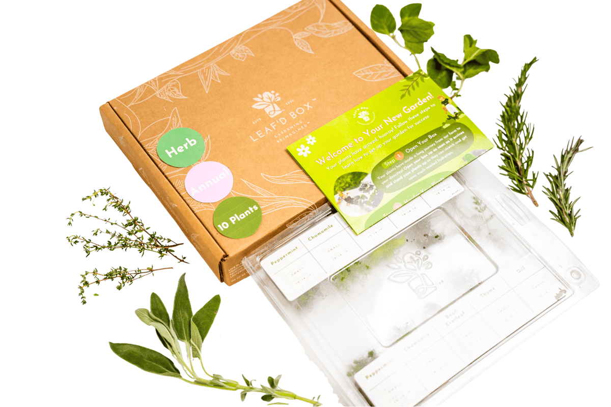 Seasonal Herb Garden – Leaf'd Box