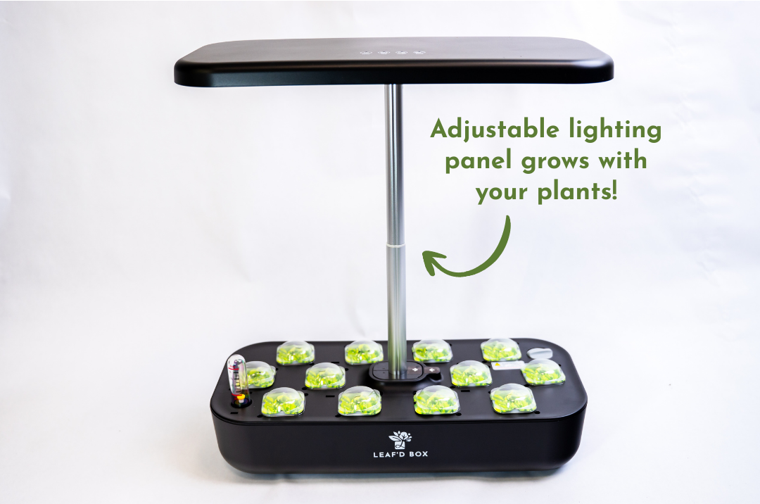 Mini Hydroponic Education Kit with Science Curriculum – Leaf'd Box