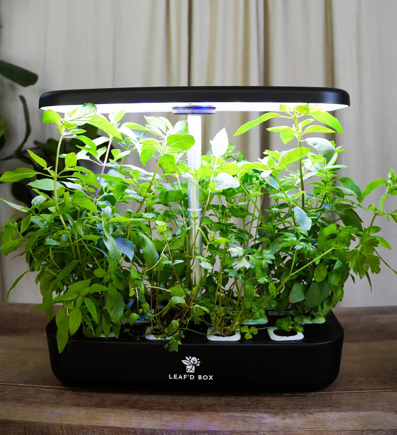 Mini Hydroponic Education Kit with Science Curriculum – Leaf'd Box