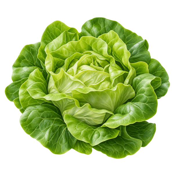 Seasonal plant preview for Region 2