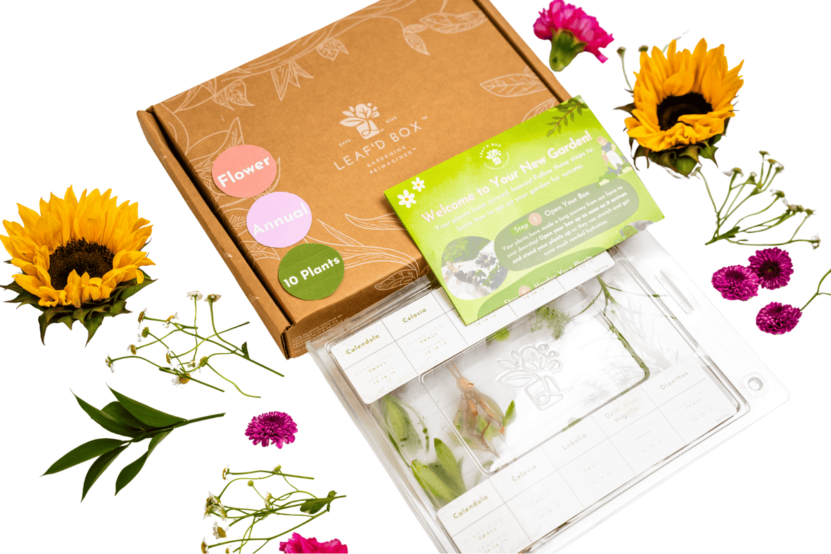monthly flower seed subscription Small Flower Garden Seasonal Subscription – Leaf'd Box