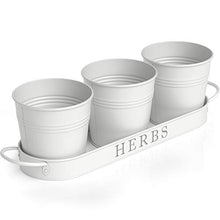 Load image into Gallery viewer, Barnyard Designs Herb Pot Planter Set with Tray for Indoor Garden or Outdoor Use, Decorative White Metal Succulent Potted Planters for Kitchen Windowsill, (Set of 3, 4.25” x 4” Planters on 12.5” x 4”