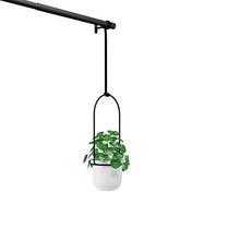 Load image into Gallery viewer, Umbra 1011748-660 Triflora Hanging Planter for Window, Indoor Herb Garden, White/Black, Triple