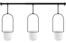 Load image into Gallery viewer, Umbra 1011748-660 Triflora Hanging Planter for Window, Indoor Herb Garden, White/Black, Triple