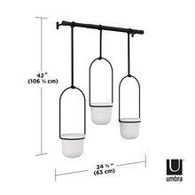 Load image into Gallery viewer, Umbra 1011748-660 Triflora Hanging Planter for Window, Indoor Herb Garden, White/Black, Triple