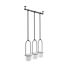 Load image into Gallery viewer, Umbra 1011748-660 Triflora Hanging Planter for Window, Indoor Herb Garden, White/Black, Triple