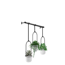 Load image into Gallery viewer, Umbra 1011748-660 Triflora Hanging Planter for Window, Indoor Herb Garden, White/Black, Triple