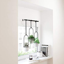 Load image into Gallery viewer, Umbra 1011748-660 Triflora Hanging Planter for Window, Indoor Herb Garden, White/Black, Triple