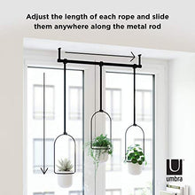 Load image into Gallery viewer, Umbra 1011748-660 Triflora Hanging Planter for Window, Indoor Herb Garden, White/Black, Triple
