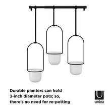 Load image into Gallery viewer, Umbra 1011748-660 Triflora Hanging Planter for Window, Indoor Herb Garden, White/Black, Triple