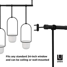 Load image into Gallery viewer, Umbra 1011748-660 Triflora Hanging Planter for Window, Indoor Herb Garden, White/Black, Triple