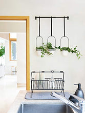 Load image into Gallery viewer, Umbra 1011748-660 Triflora Hanging Planter for Window, Indoor Herb Garden, White/Black, Triple