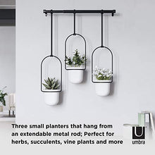 Load image into Gallery viewer, Umbra 1011748-660 Triflora Hanging Planter for Window, Indoor Herb Garden, White/Black, Triple