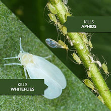 Load image into Gallery viewer, BioAdvanced 701520A Fruit, Citrus & Vegetable Insect Control for Edible Gardening Concentrate, 32-Ounce