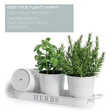 Load image into Gallery viewer, Barnyard Designs Herb Pot Planter Set with Tray for Indoor Garden or Outdoor Use, Decorative White Metal Succulent Potted Planters for Kitchen Windowsill, (Set of 3, 4.25” x 4” Planters on 12.5” x 4”
