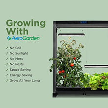 Load image into Gallery viewer, AeroGarden Farm 24XL with Salad Bar Seed Pod Kit - Indoor Garden with LED Grow Light, Black