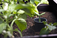 Load image into Gallery viewer, Keter Urban Bloomer 22.4 Gallon Raised Garden Bed with Self Watering Planter Box and Drainage Plug, Anthracite