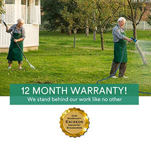Load image into Gallery viewer, Expandable Garden hose 50 ft with 10 Function Sprayer Nozzle, Lightweight & No-Kink Flexible Water Hose with 3/4 inch Solid Brass Fittings & Durable Collapsible Latex Core, 50ft Retractable Hose