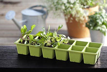 Load image into Gallery viewer, Keter Urban Bloomer 22.4 Gallon Raised Garden Bed with Self Watering Planter Box and Drainage Plug, Anthracite