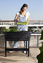 Load image into Gallery viewer, Keter Urban Bloomer 22.4 Gallon Raised Garden Bed with Self Watering Planter Box and Drainage Plug, Anthracite