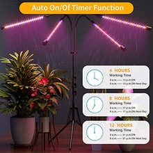 Load image into Gallery viewer, FRENAN Grow Light with Stand, for Indoor Plants with Red Blue Spectrum, 10 Dimmable Brightness, 4/8/12H Timer, 3 Switch Modes, Adjustable Gooseneck, Suitable for Various Plants Growth