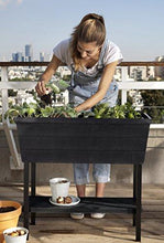 Load image into Gallery viewer, Keter Urban Bloomer 22.4 Gallon Raised Garden Bed with Self Watering Planter Box and Drainage Plug, Anthracite