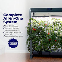 Load image into Gallery viewer, AeroGarden Farm 24XL with Salad Bar Seed Pod Kit - Indoor Garden with LED Grow Light, Black