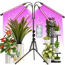 Load image into Gallery viewer, FRENAN Grow Light with Stand, for Indoor Plants with Red Blue Spectrum, 10 Dimmable Brightness, 4/8/12H Timer, 3 Switch Modes, Adjustable Gooseneck, Suitable for Various Plants Growth