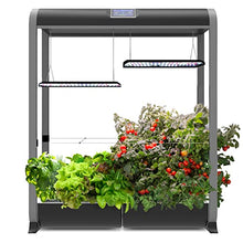Load image into Gallery viewer, AeroGarden Farm 24XL with Salad Bar Seed Pod Kit - Indoor Garden with LED Grow Light, Black