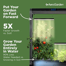 Load image into Gallery viewer, AeroGarden Farm 24XL with Salad Bar Seed Pod Kit - Indoor Garden with LED Grow Light, Black