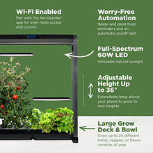 Load image into Gallery viewer, AeroGarden Farm 24XL with Salad Bar Seed Pod Kit - Indoor Garden with LED Grow Light, Black