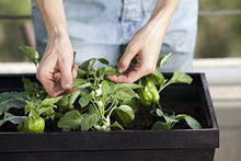 Load image into Gallery viewer, Keter Urban Bloomer 22.4 Gallon Raised Garden Bed with Self Watering Planter Box and Drainage Plug, Anthracite