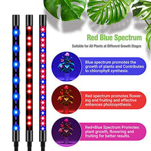 Load image into Gallery viewer, FRENAN Grow Light with Stand, for Indoor Plants with Red Blue Spectrum, 10 Dimmable Brightness, 4/8/12H Timer, 3 Switch Modes, Adjustable Gooseneck, Suitable for Various Plants Growth