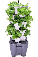Load image into Gallery viewer, Mr. Stacky Smart Farm - Automatic Self Watering Garden - Grow Fresh Healthy Food Virtually Anywhere Year Round - Soil or Hydroponic Vertical Tower Gardening System (Standard Kit, Stone)