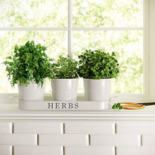 Load image into Gallery viewer, Barnyard Designs Herb Pot Planter Set with Tray for Indoor Garden or Outdoor Use, Decorative White Metal Succulent Potted Planters for Kitchen Windowsill, (Set of 3, 4.25” x 4” Planters on 12.5” x 4”