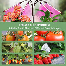 Load image into Gallery viewer, FRENAN Grow Light with Stand, for Indoor Plants with Red Blue Spectrum, 10 Dimmable Brightness, 4/8/12H Timer, 3 Switch Modes, Adjustable Gooseneck, Suitable for Various Plants Growth