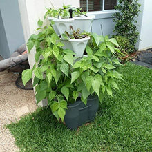 Load image into Gallery viewer, Mr. Stacky Smart Farm - Automatic Self Watering Garden - Grow Fresh Healthy Food Virtually Anywhere Year Round - Soil or Hydroponic Vertical Tower Gardening System (Standard Kit, Stone)