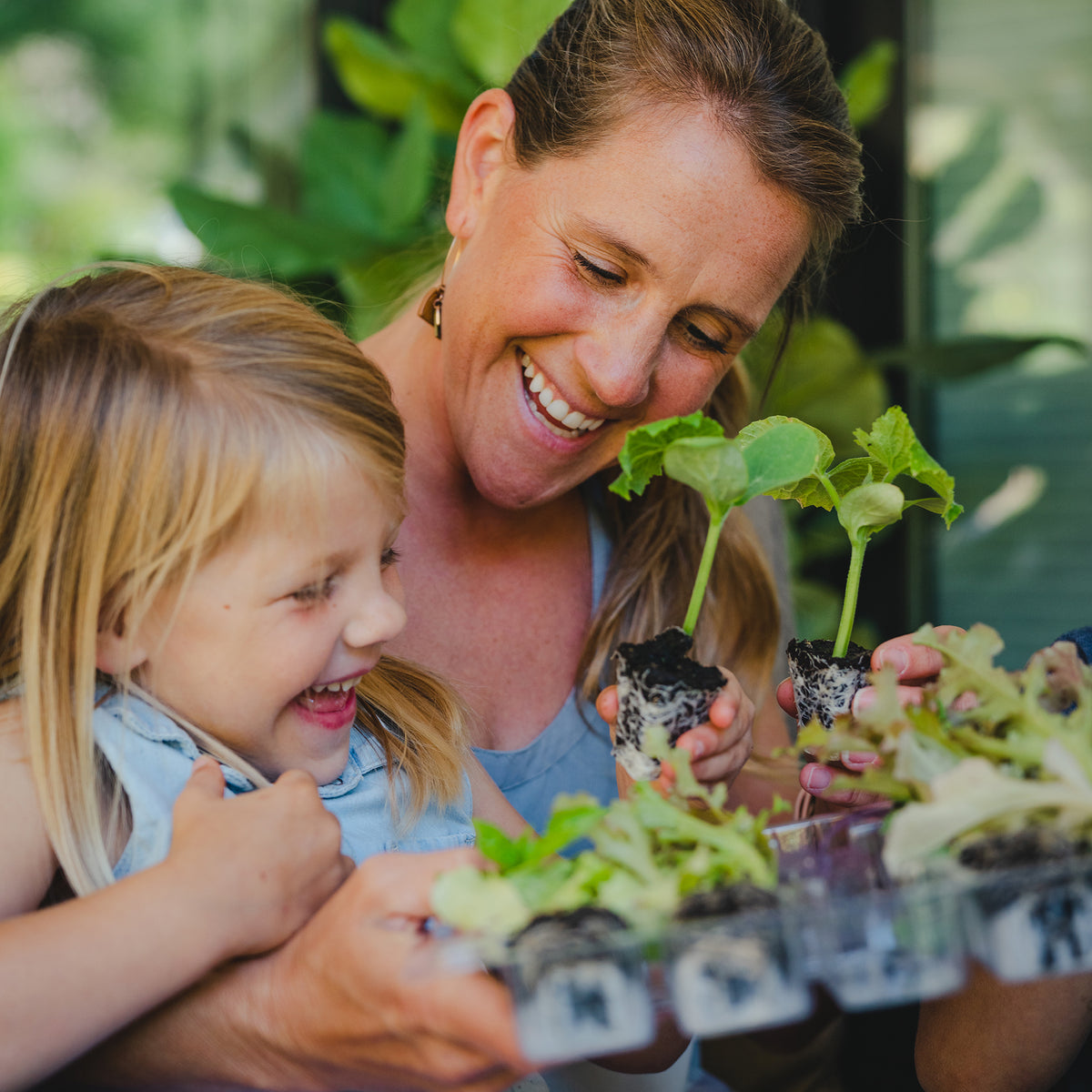 Vegetable Garden Kit