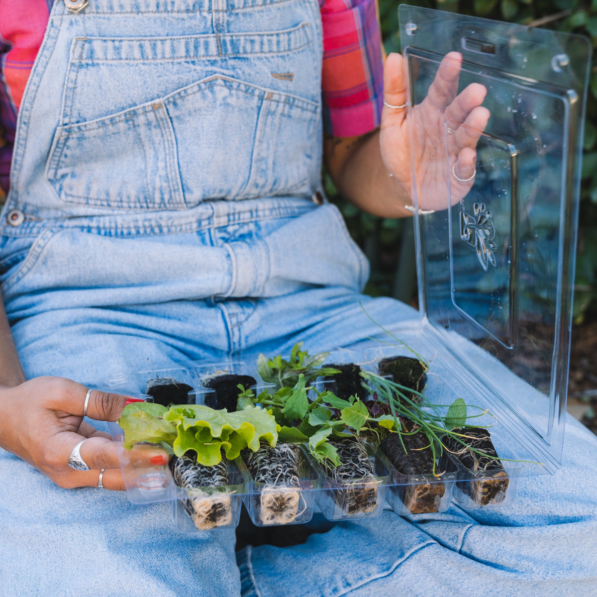 Vegetable Garden Kit